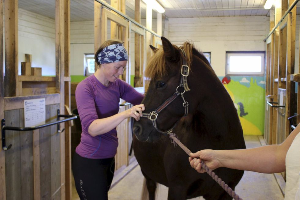 Osteopati for hund og hest – Silje Heltne