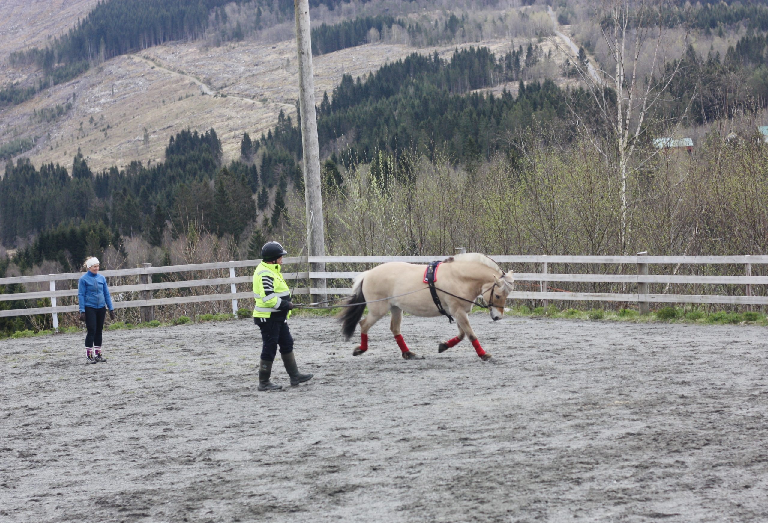 Kurs med Gunnar Bruland