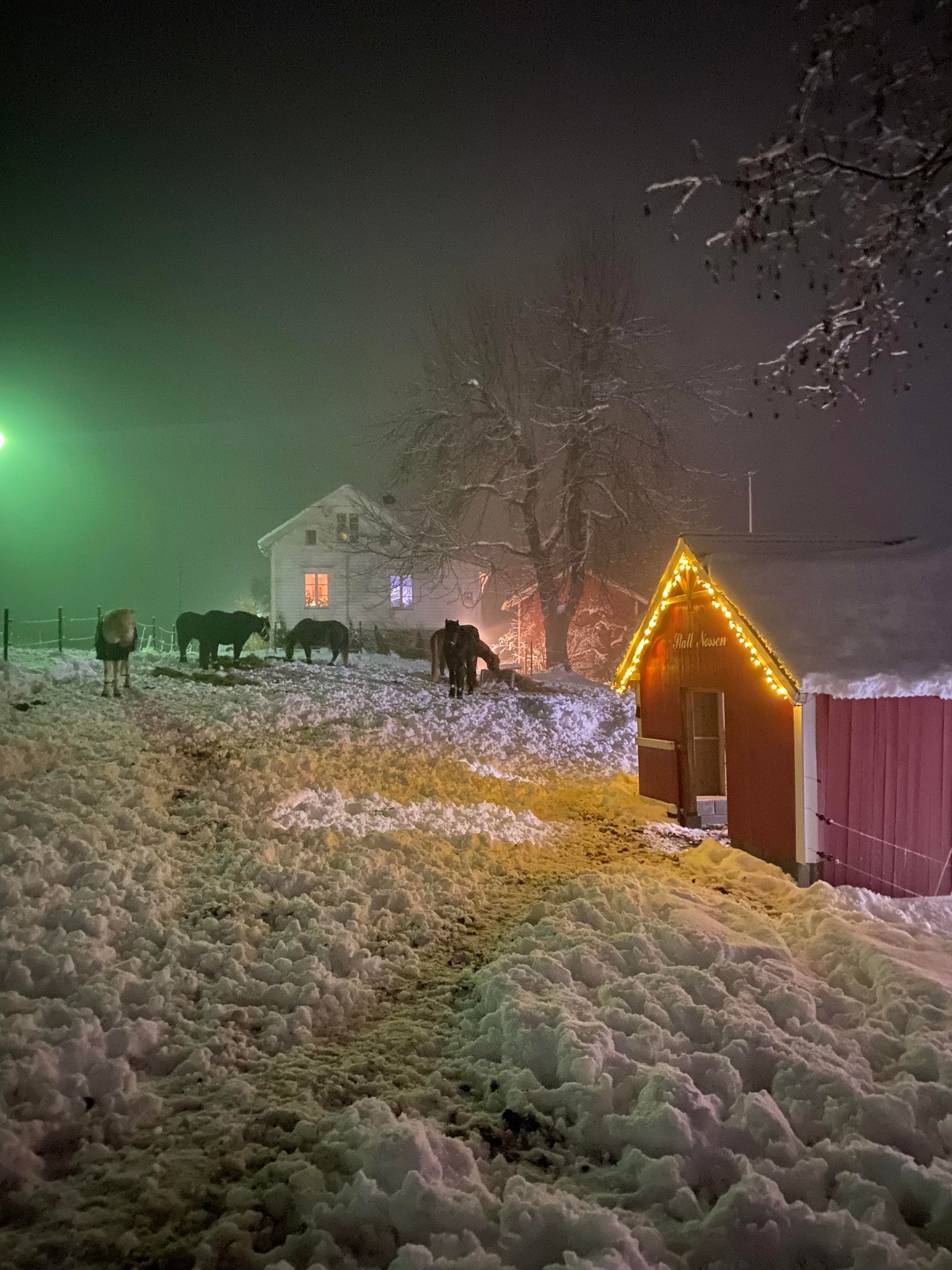 Godt nytt år folkens !