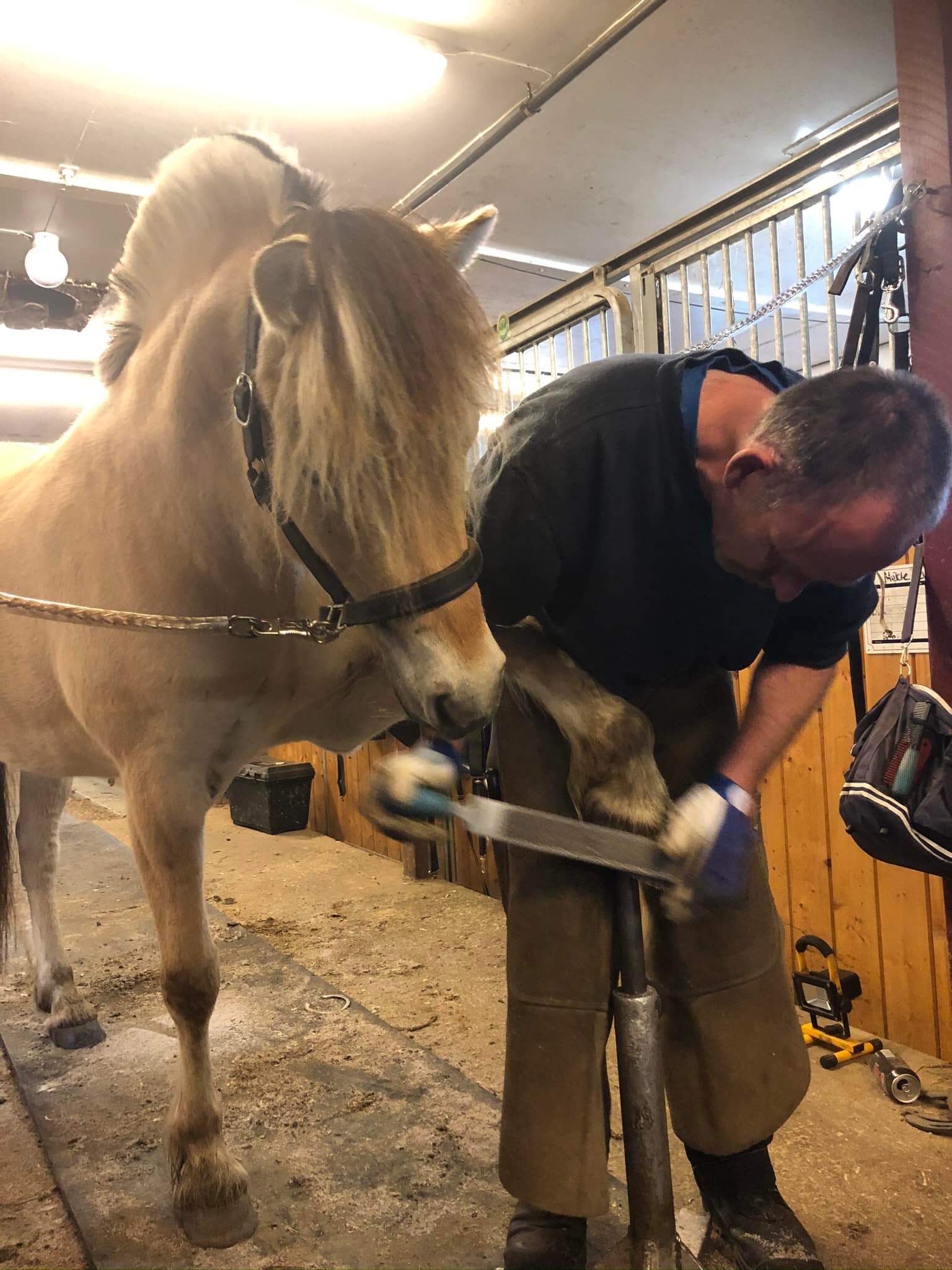 Hovslager kurs med Odd Anders Otterstad