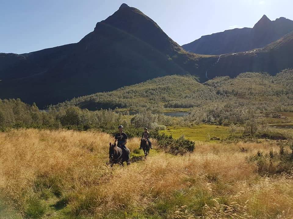 Vestritur til Rognestøylen