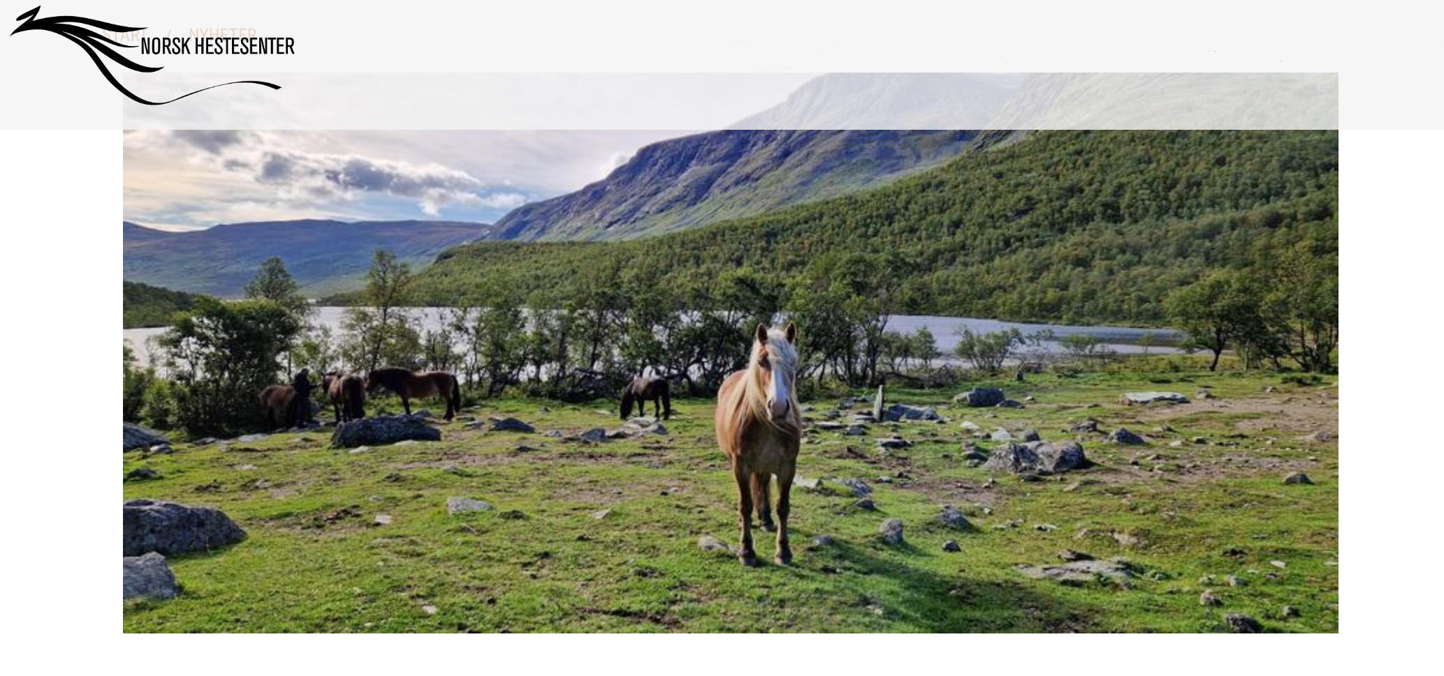 Drømme jobben, vil du jobbe med hest i fjellet?